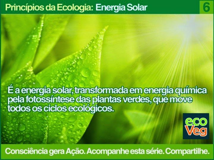  PRINCÍPIOS DA ECOLOGIA: ENERGIA SOLAR