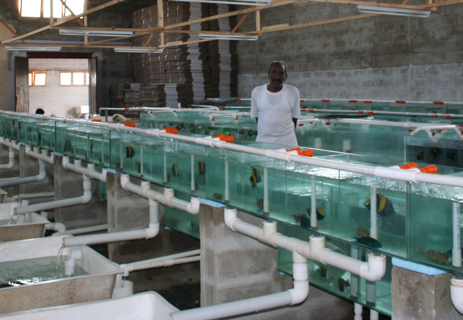 Eritrean Scientist Wins Chinese Award Madote