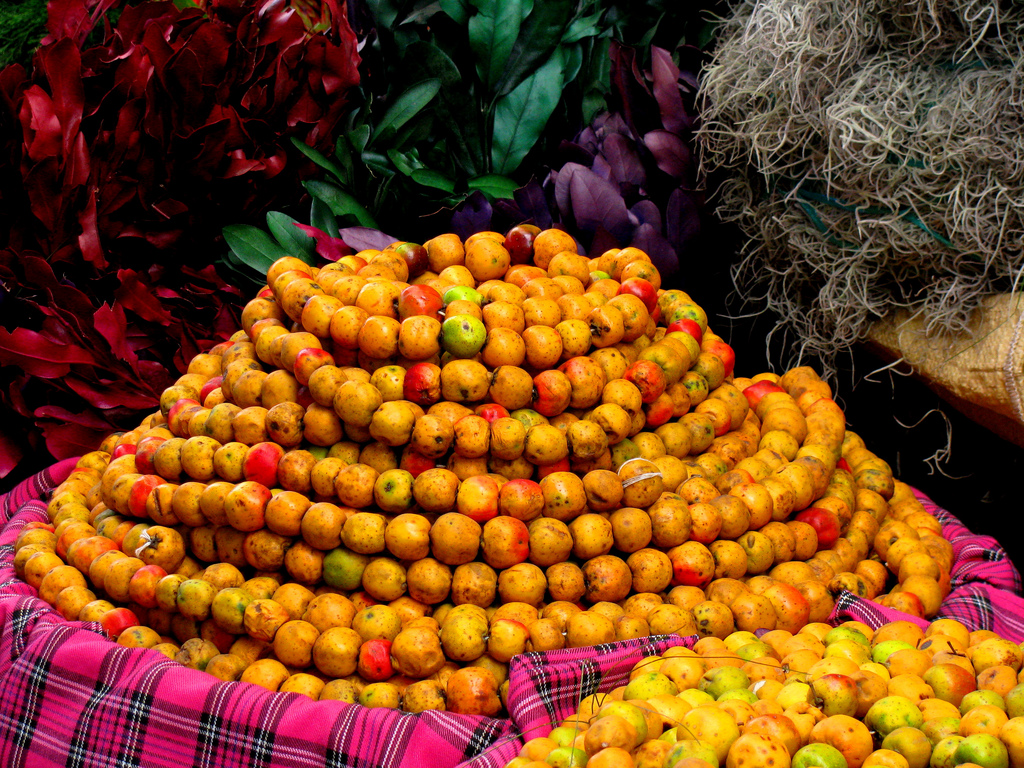 5. Los inconfundibles tamales negros de Quetzaltenango son el lujo de la te...