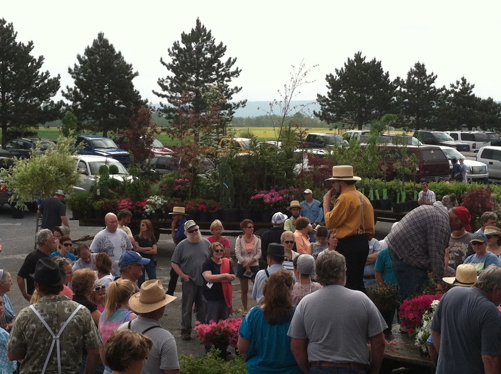Life in the Heart of the Amish Country Weaverland Auction