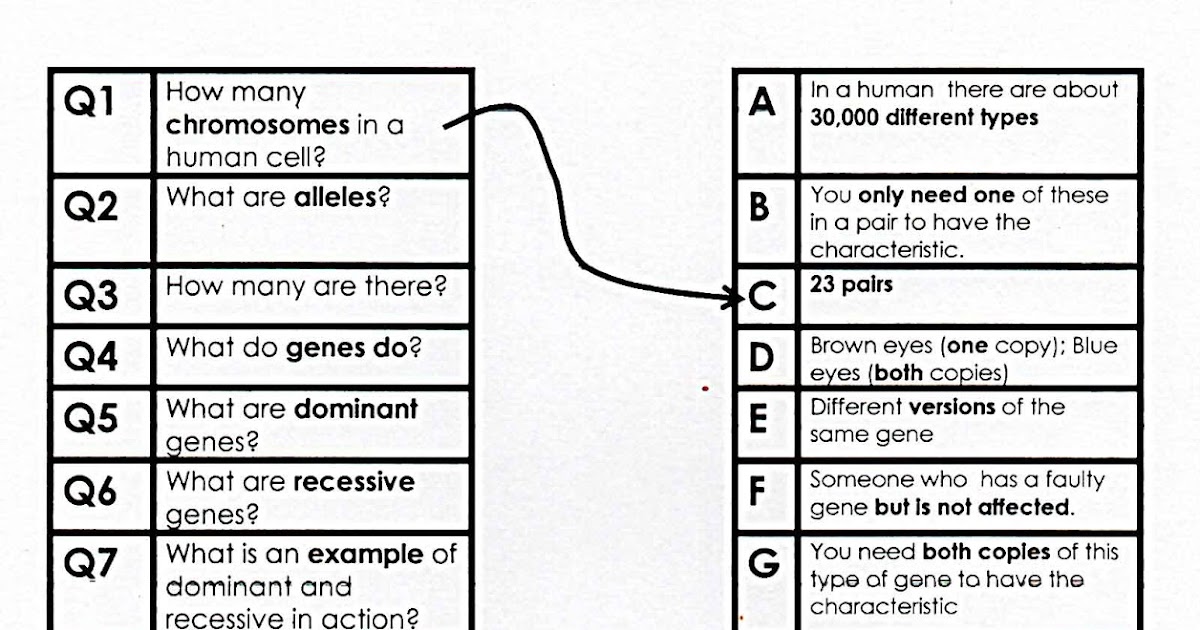 Science Puzzles : 100+ Free Science Worksheets: LINK - Genetics