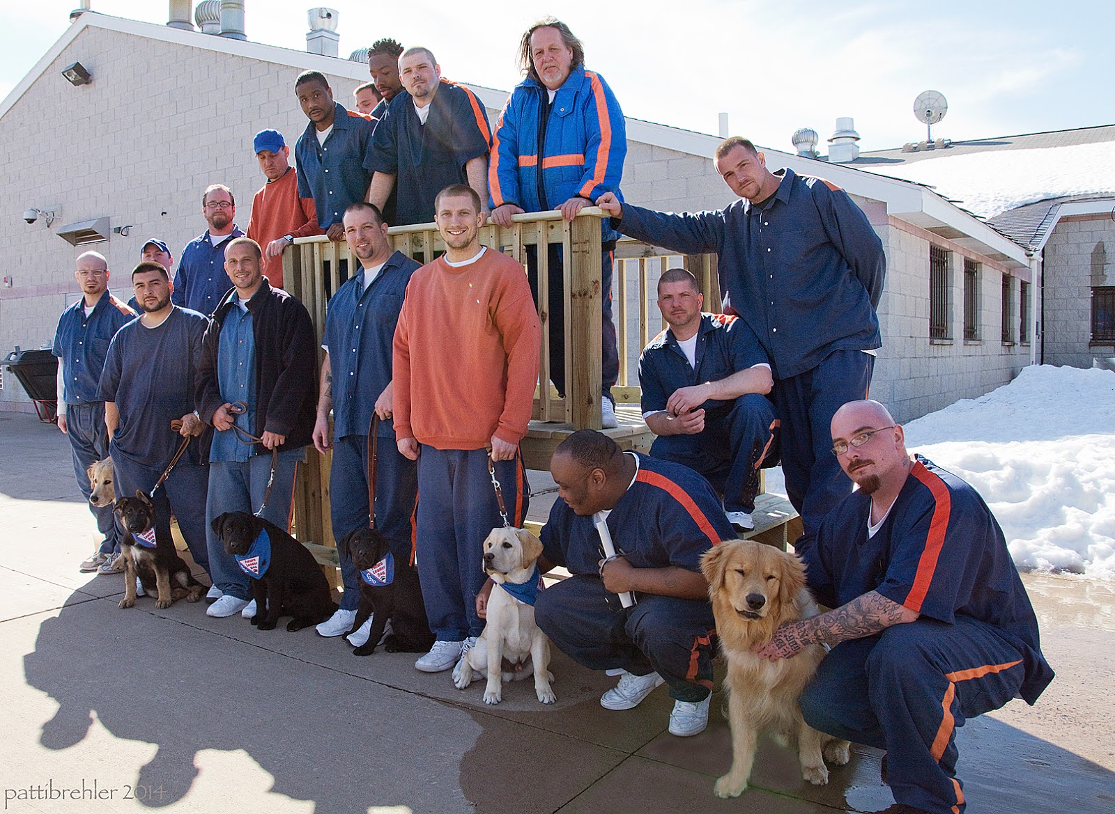 A group of 16 men and six dogs post on a newly built wooden staircase. The stairs are on either side of a platform with railings. It is a bright sunny day in the prison yard, there is still snow on the ground in the background.