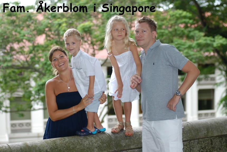 Fam Åkerblom i Singapore