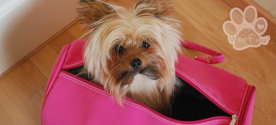 Sac de transport chic chien coloris rose - Sacs pour chiens