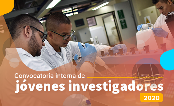 Convocatoria interna de jóvenes investigadores 2020