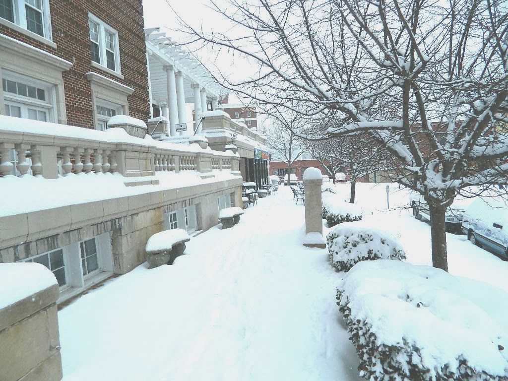 Edwin's Sky Garden Winter 2014 Asheville, North Carolina