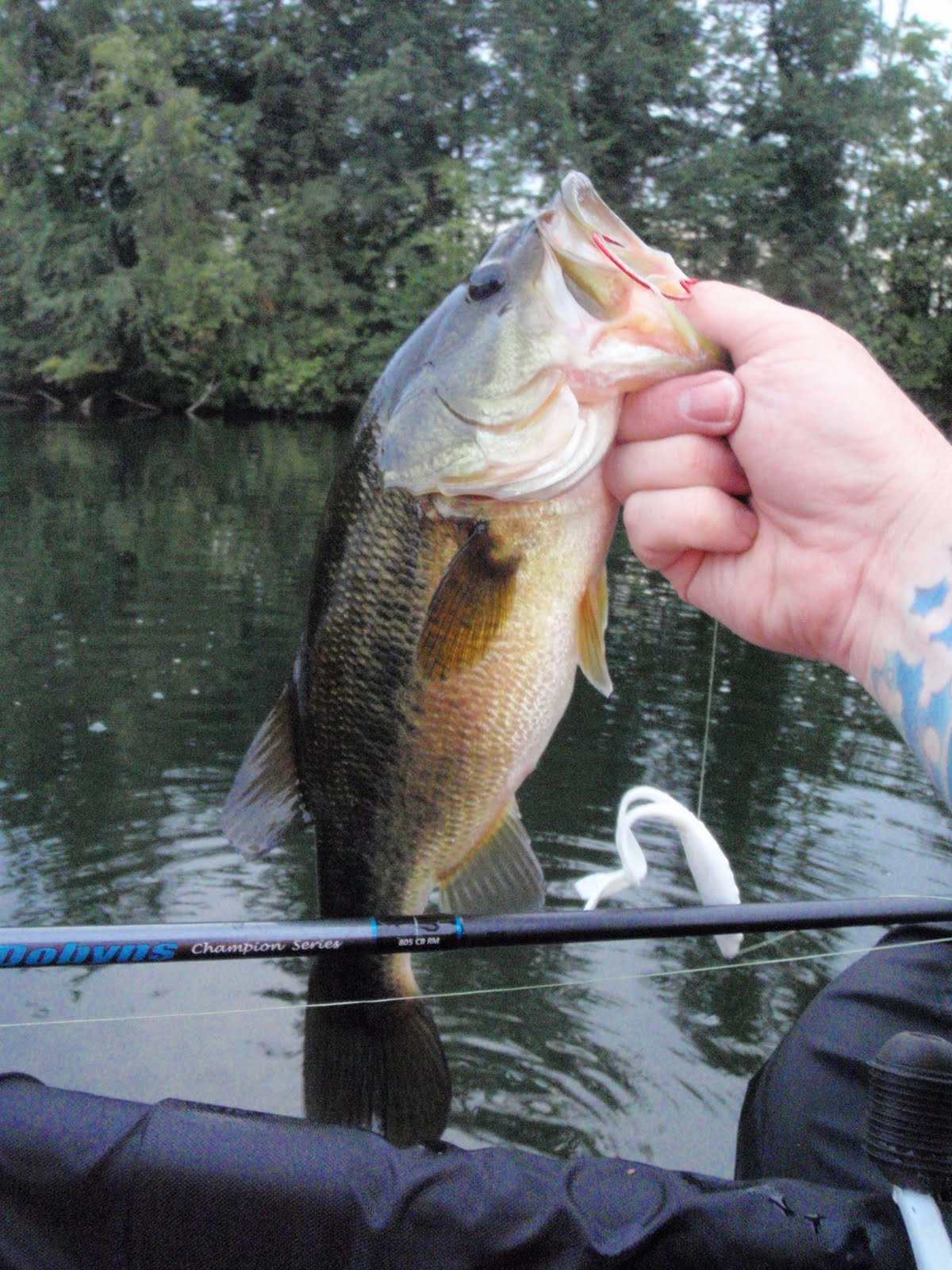 Bass Junkies Fishing Addiction Float Tube Bass Fishing