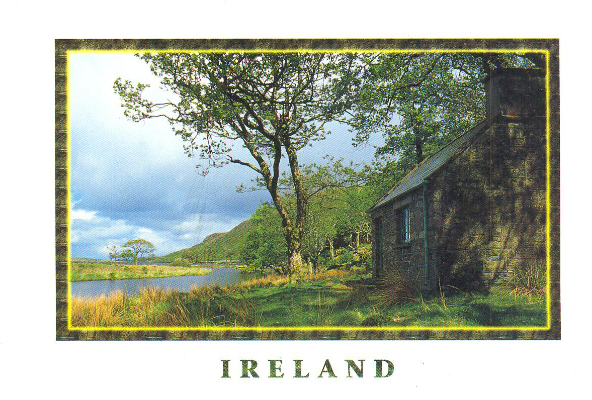 Leaves & Branches My Ireland Trip, part 1