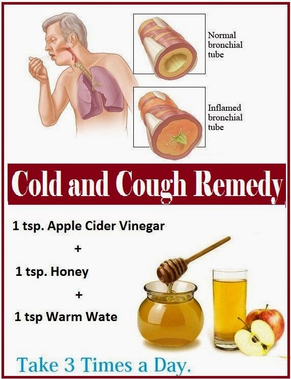 cough remedy herpes simplex virus symptoms treatment for herpes virus 4 strain herbal home cough remedy herpes simplex virus symptoms treatment for herpes virus 4 strain herbal home