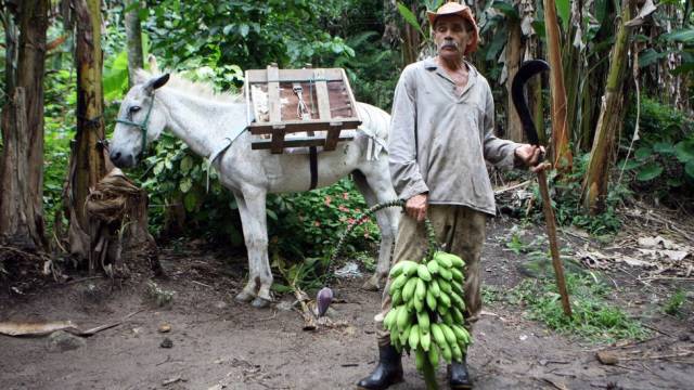 LAVOURAS DO RIO DA PRATA