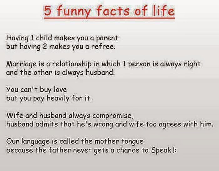 Top 10 Funny Life Facts Funny Collection World