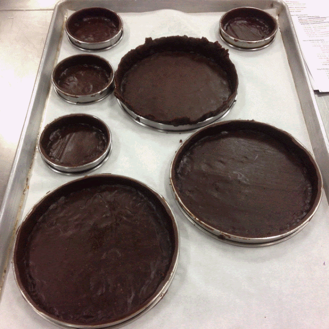 Molded Chocolate Sucree Tart Shells Molded Chocolate Sucree Tart Shells