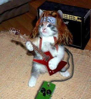 funny cats picture funny cat picture foto smijesno macka sliku obrazek billede naljakas kass pildil larawan hauska kissan kuva Image drole de chat imaxe gato divertido blider lustige Katze Bild Vicces macska kep fyndinn kottur mynd pictiur cat greannmhar divertente kaķis attelu nuotrauka stampa umoristici qattus bilde amuzant pisica imagine obrazok smesno macka slika picha rolig katt bild komik kedi resmi darlun doniol