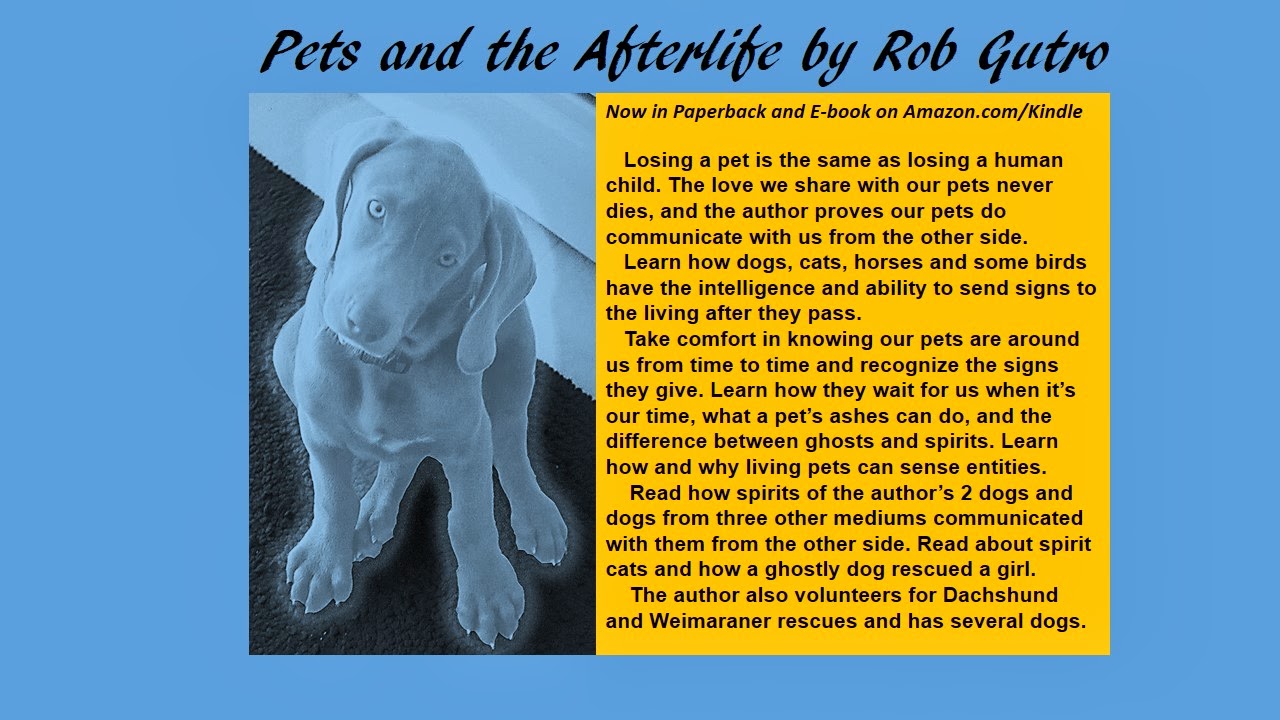 Rob Gutro's Ghosts and Spirits Blog Coming Soon! Pets and the