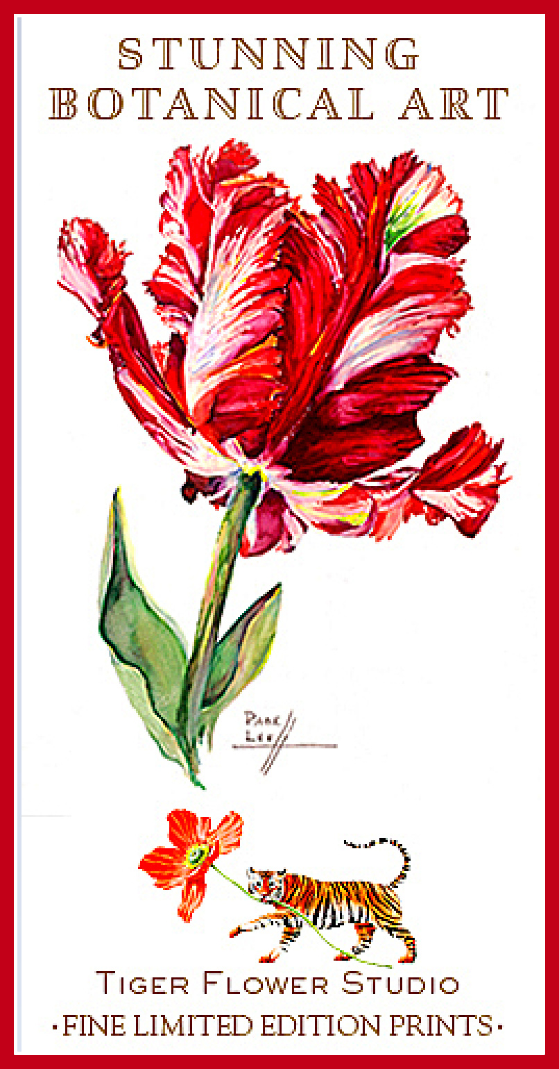 COTE DE TEXAS SPONSOR:  TIGER FLOWER STUDIO