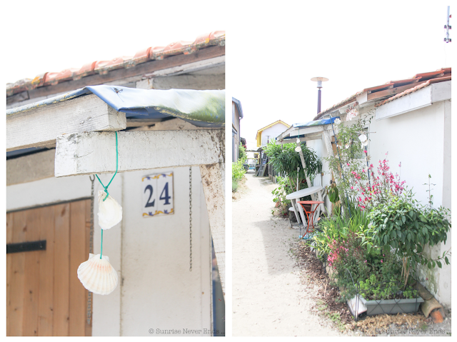 le cap-ferret,l'herbe,village ostréicole,roadtrip,beach shack,cabanons,cabanes en bois,bassin d'arcachon