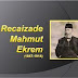 Recaizade Mahmut Ekrem (Slayt - Sunum)