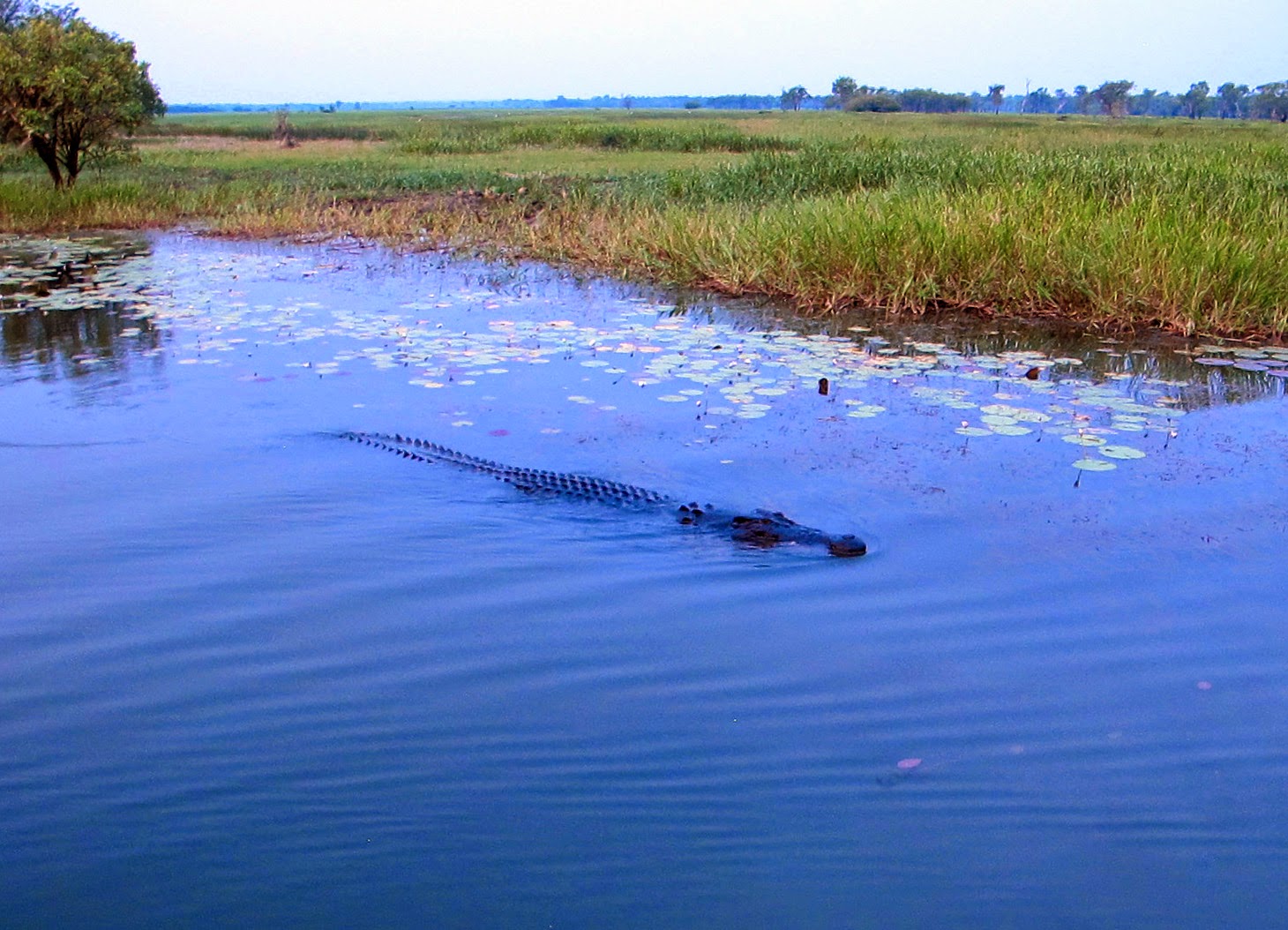 Sunset Cruise on South Alligator River, Kakadu National Park Life's