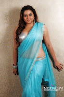 South, actress, Namitha, posing, latest, photoshoot, transparent, blue, saree, images
