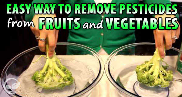 Easy Way To Remove Pesticides From Your Fruits And Vegetables Easy Way To Remove Pesticides From Your Fruits And Vegetables