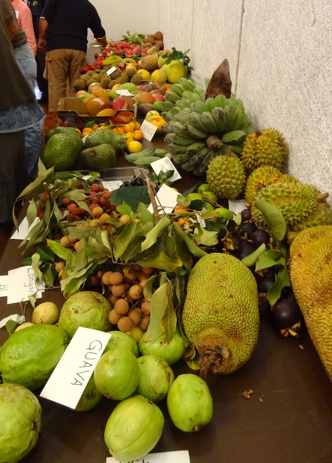 Hawaii Exotic Fruit Tasting