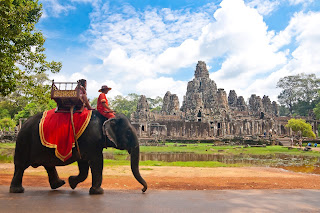 Majestic Mekong Delta Tour from Saigon to Siem Reap 5 Majestic Mekong Delta Tour from Saigon to Siem Reap 6