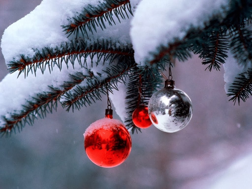 A DIVERSUS deseja a todos os seus clientes e amigos um Feliz Natal