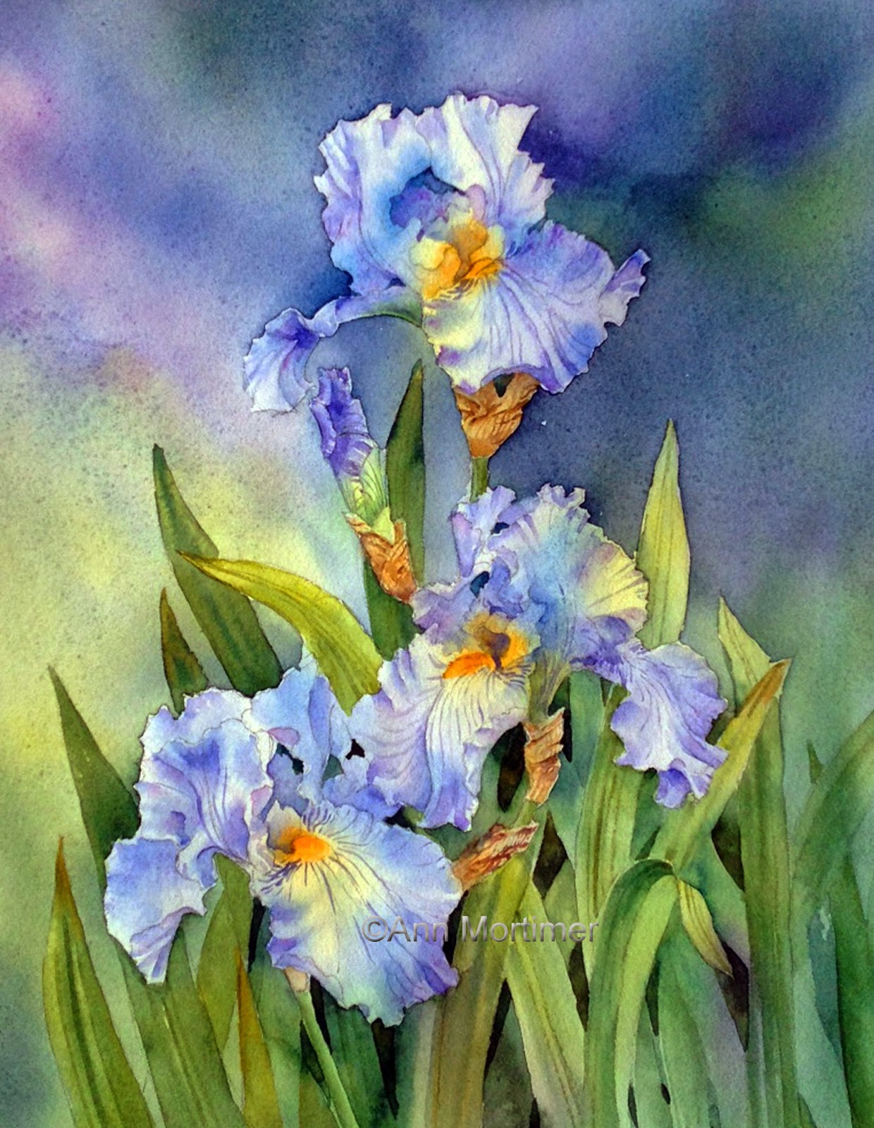 Ann Mortimer's Painting Blog Irises update