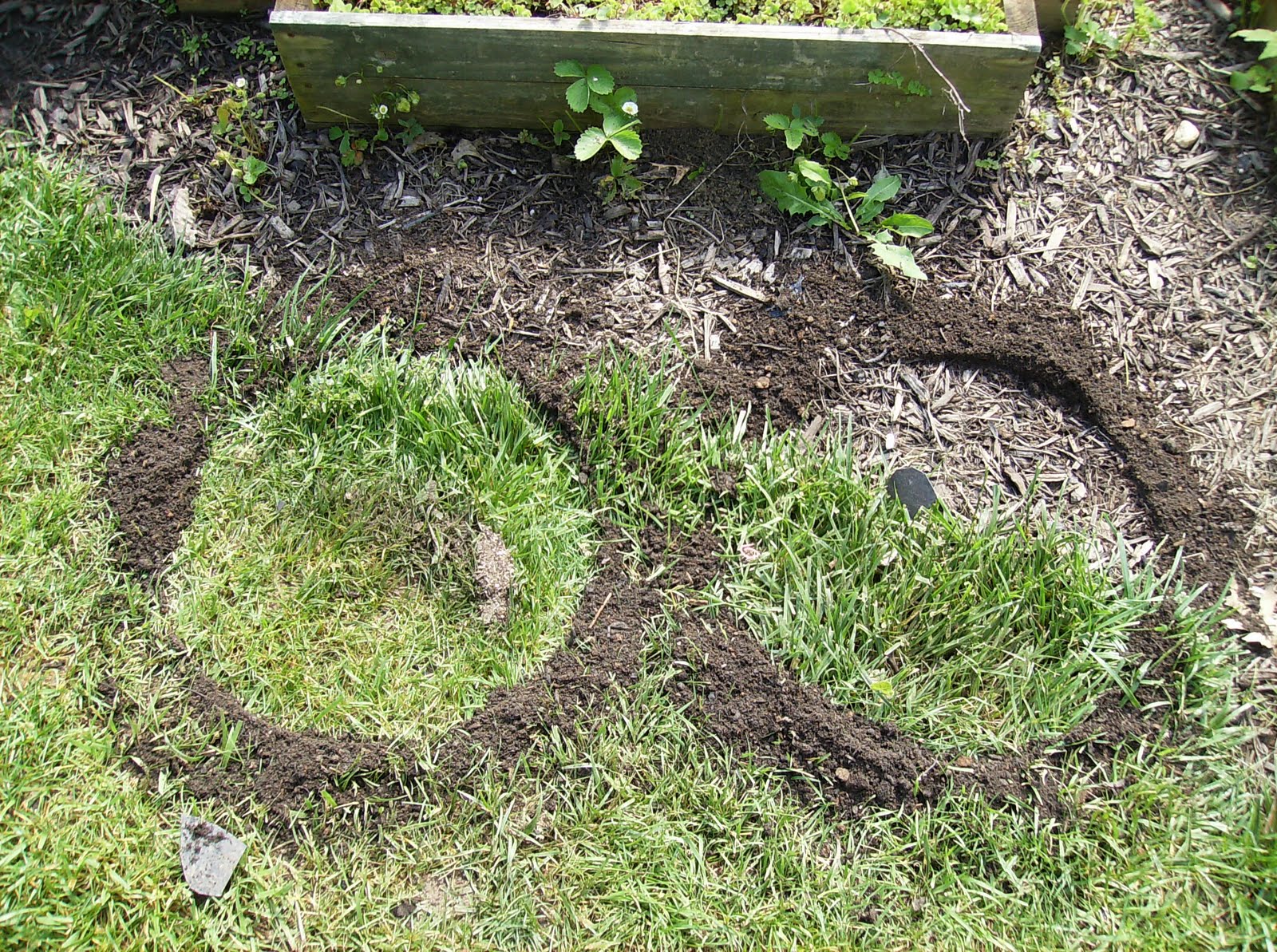 How to Build a Sunken Vegetable Container Garden In Pictures The