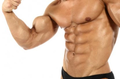 5 Muscle Definition Tips