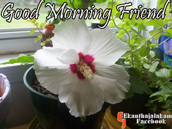 good morning quotes for friends malayalam strangeauntie blogspot com good morning quotes for friends in hindi blogger