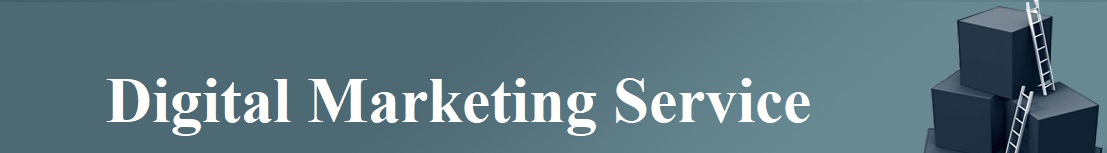 Best SEO  | SMO | Web Designing | Digital Marketing Service Meerut
