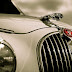 Jaguar Logo