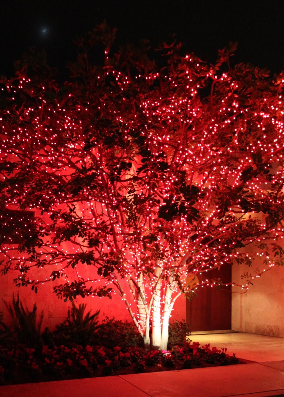 christmas lights midcentury modern style midcentury modern remodel