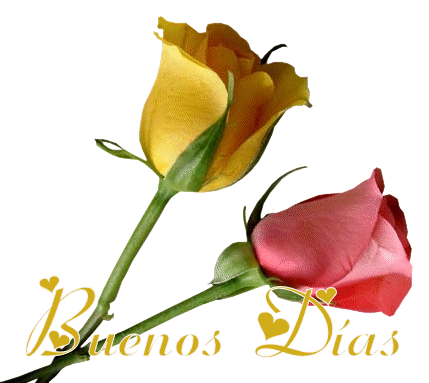 Frases de buenos dias motivadoras - Taringa!