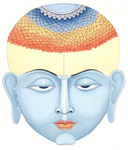 k017 Yin Yang Schwarz Weiß Kopftuch Bandana Halstuch Esoterik Hindu Buddha Yoga 