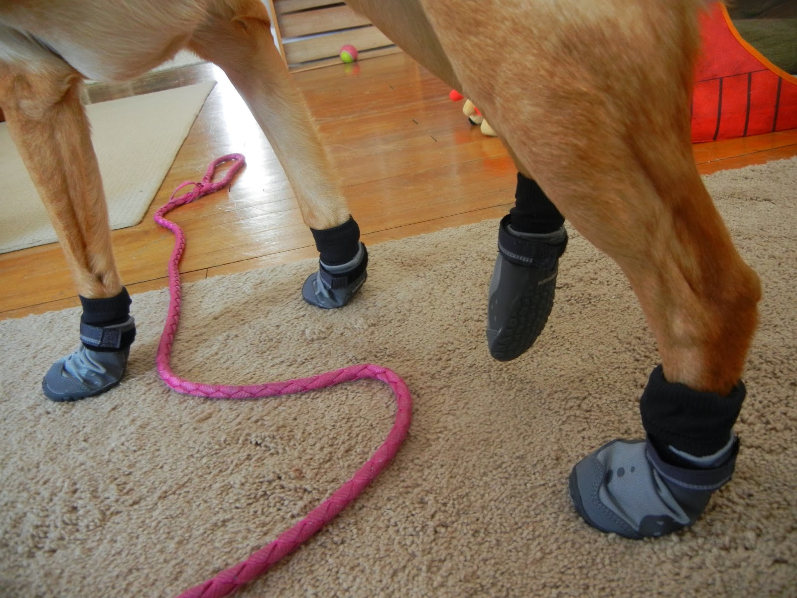 Hiking with Heather Ruffwear Summit Trex Boots First Impressions