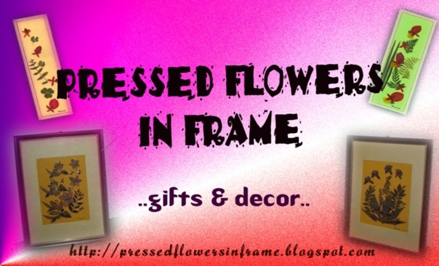 Pressed Flowers✿ -Gifts n Decor