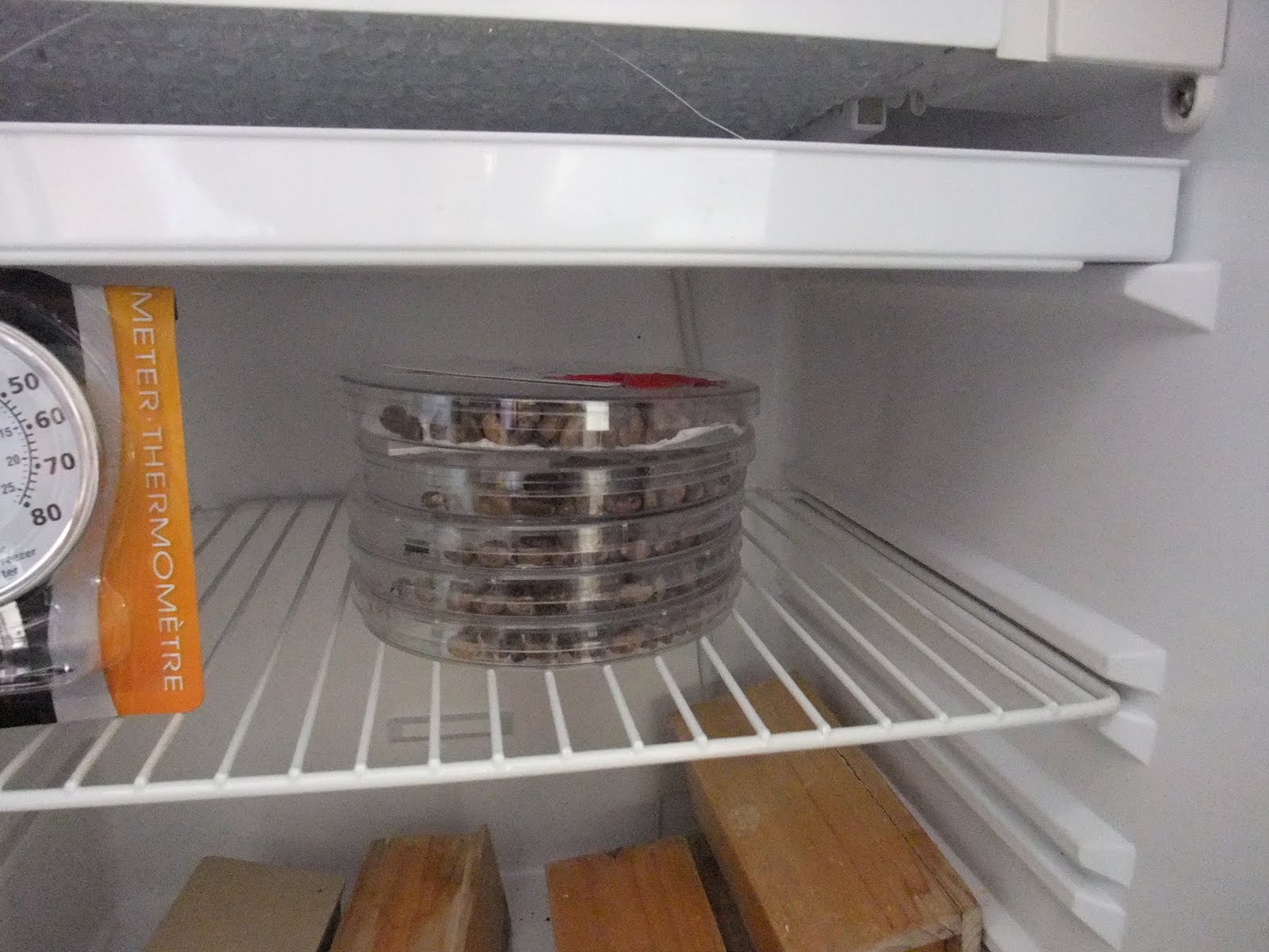 6" Petri dishes for Cocoon storage