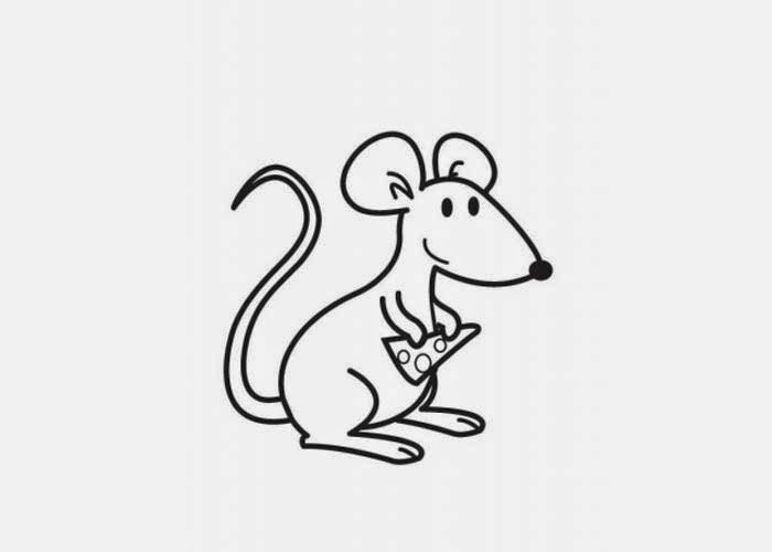 Cheese Coloring Page Cheese Coloring Page