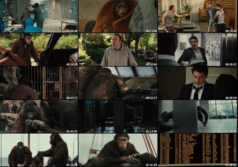 Watch Rise Of The Planet Of The Apes 2011 Full Movie Online Free
