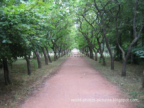 Botanical garden