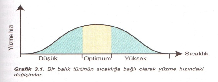 Çevrenin Abiyotik Faktörleri ve Canlılar Üzerindeki Etkileri Çevrenin Abiyotik Faktörleri ve Canlılar Üzerindeki Etkileri