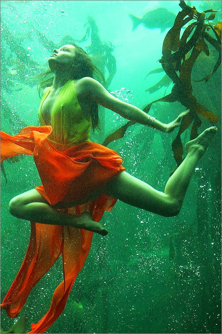 Underwater photograph by Unknown | Ses Rêveries Underwater photograph by Unknown | Ses Rêveries