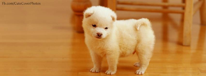 FB Cover Photos 2015 FB Cover Photos 2015