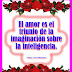 Frases hermosas para reflexionar