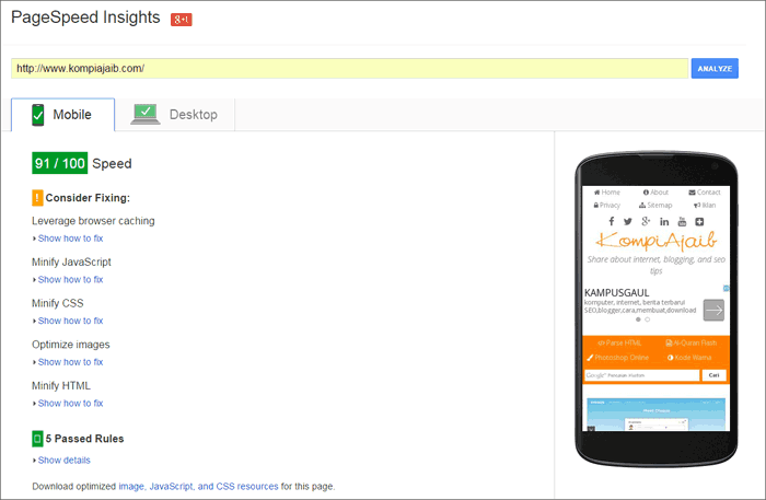 Hasil Pagespeed Insights Untuk Homepage Pagespeed Insights