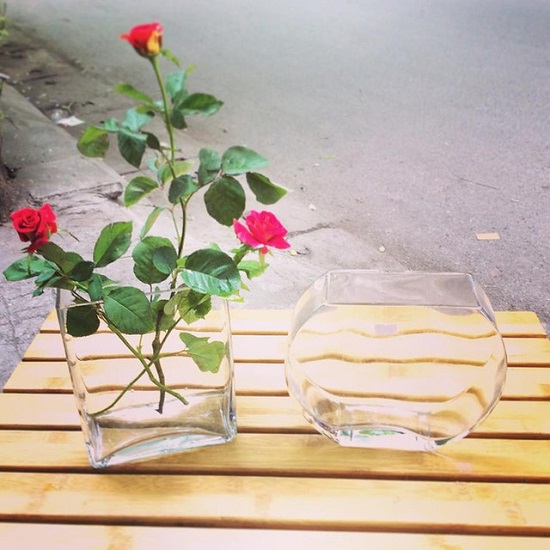 [Image: nhung-binh-hoa-dep-ma-re-7.jpg]