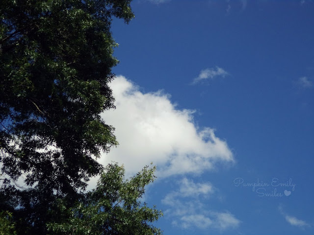 A cloud that looks like a eel