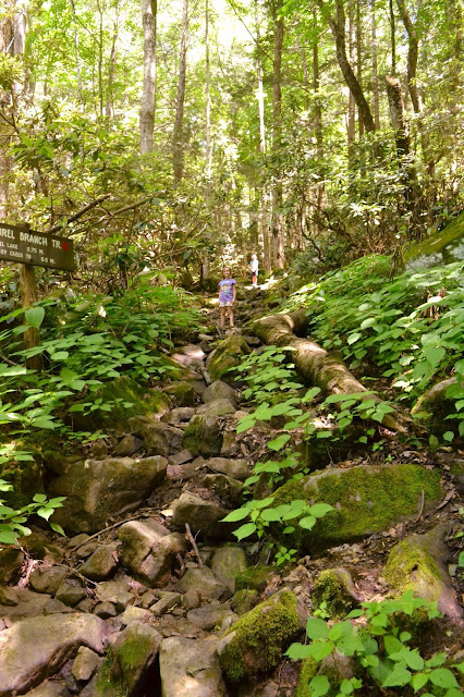 Breaks Interstate Park, great places to hike, KY, VA Breaks Interstate Park, great places to hike, KY, VA
